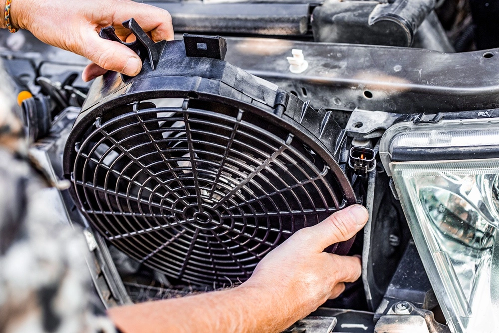 Engine Diagnostics & Repair